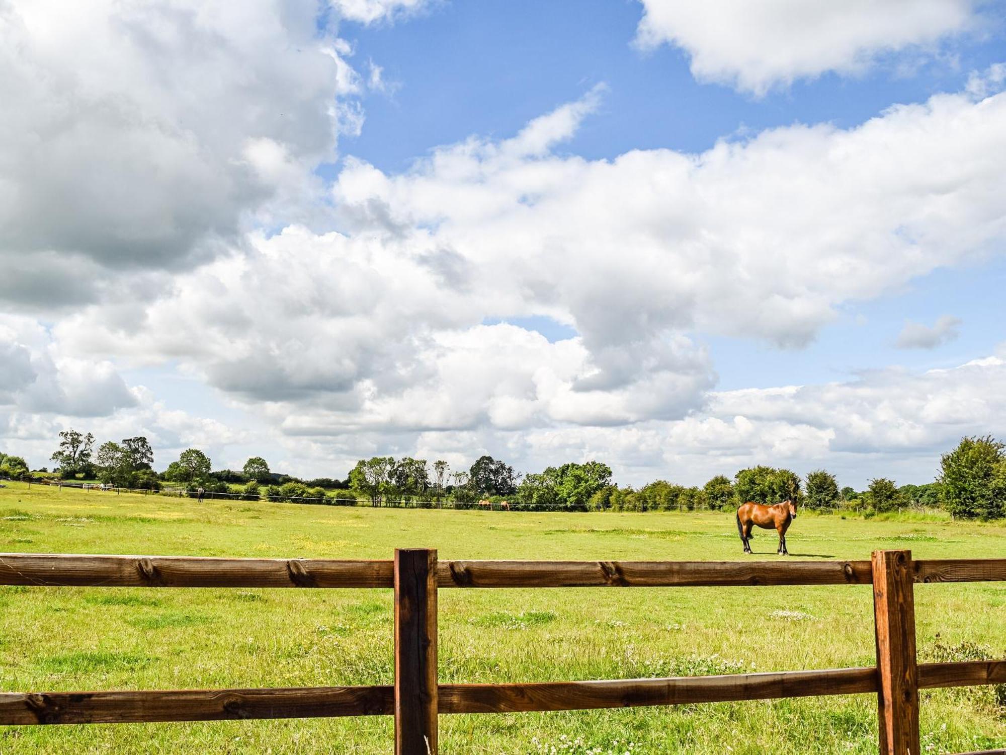 Pheasant Lodge - Uk33402 Hungerton 외부 사진