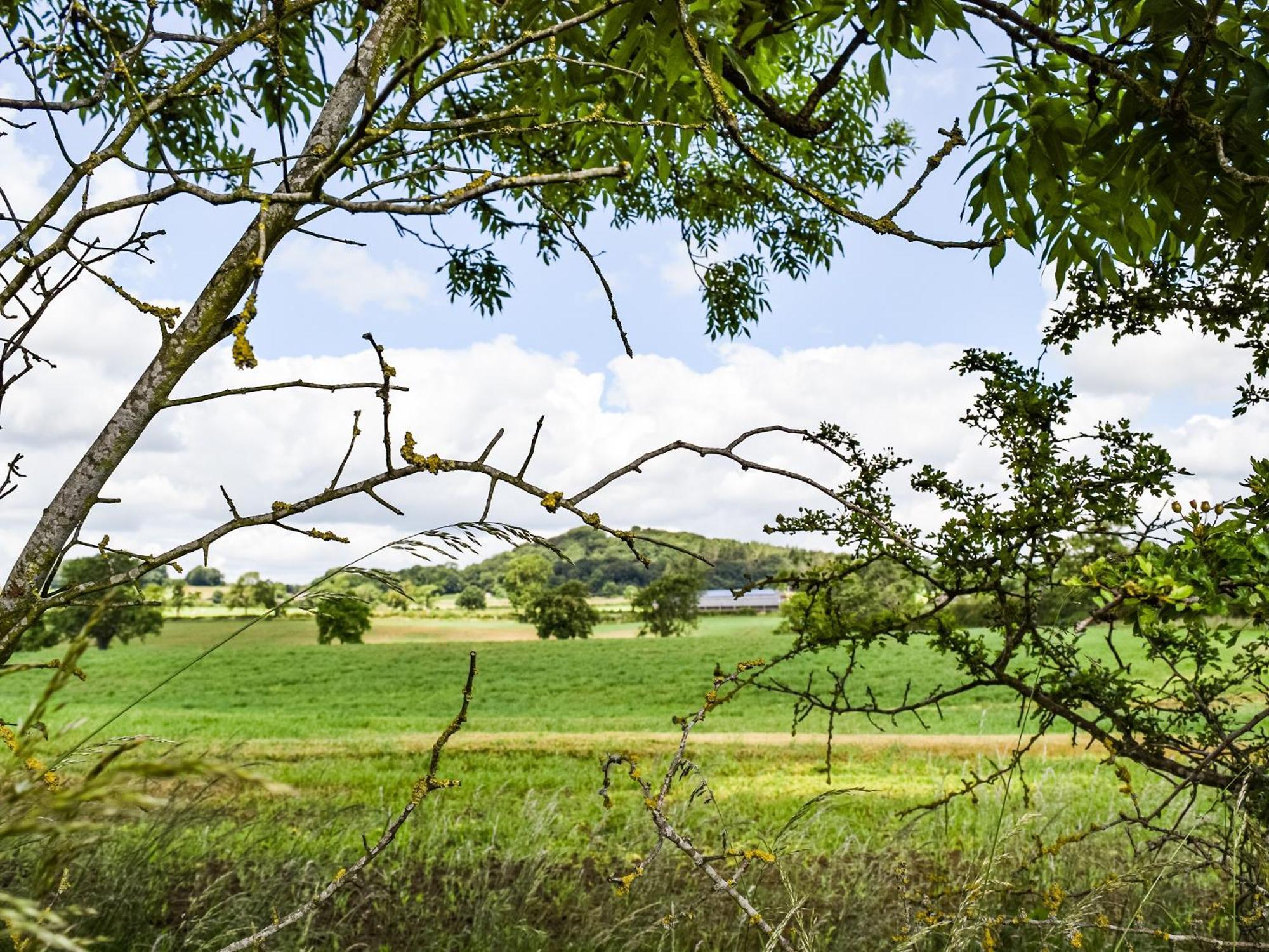 Pheasant Lodge - Uk33402 Hungerton 외부 사진